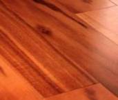 transparent stained tigerwood