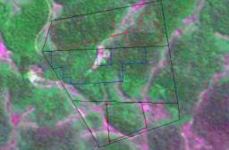 concessions for legal wood supply